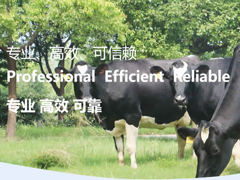 上海光明荷斯坦牧業(yè)有限公司