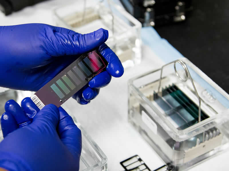 上海必諾檢測(cè)技術(shù)服務(wù)有限公司